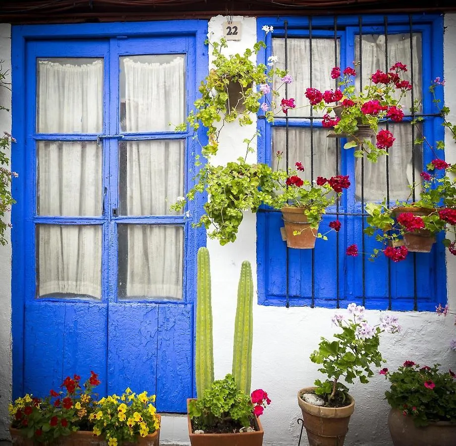 Ziba Cordoba Only Families Apartment