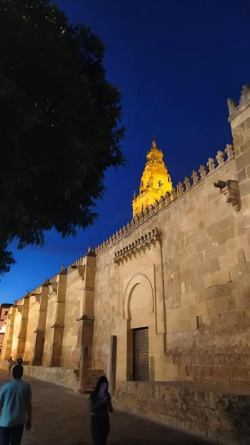 Apartamento Ziba Cordoba Only Families España