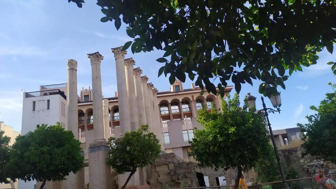Ziba Cordoba Only Families Apartment 0*,  Spain